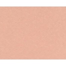 Akrüülvärv Style Matt 120ml/ 9033 salmon pink