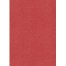 Coloured card A4 red 220gr