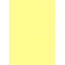 Coloured card A4 lemon 220gr