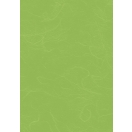 Straw Silk Paper 50x70 cm may green
