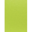 Mooruspuu (mulberry) paber 55x40cm/ mururoheline