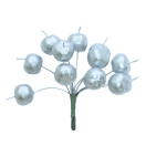 Apples, silver, 12pc