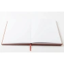30387-terra4.png.webp