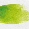 30548-leaf2.jpg.webp