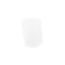 30555-alge2.jpg.webp