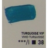 XL 200ml oil/vivid turquoise