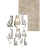 Stamping pad, Pets