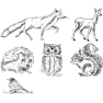 27688-bs_204888695_2.png