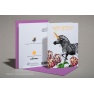 Greeting card/ Unicorn ZEBRA