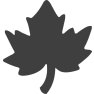 Motif Punch Smaal/ Maple Leaf
