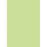 Coloured card A4 l.green 220gr