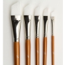 Artist Brush Set (5x angular)
