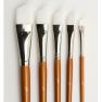 Artist Brush Set (5x angular)