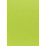 Mooruspuu (mulberry) paber 55x40cm/ mururoheline