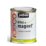 Magnetic colour 250ml