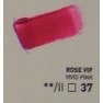 XL 200ml oil/vivid pink