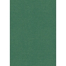 Coloured card A4 d.green 220gr
