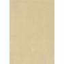 Elephant Hide Paper A4 110g chamois