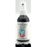 Spray Fabric Paint 100ml/ 1119 Black